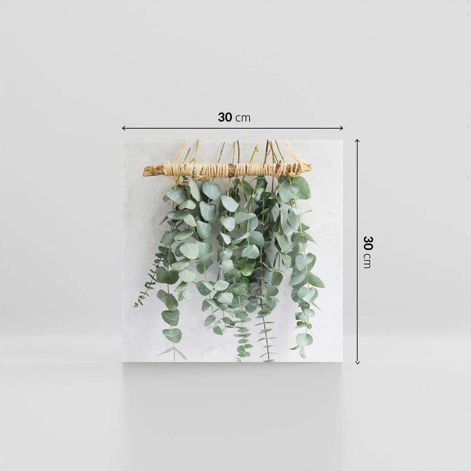Obraz na płótnie 30x30 - Uwodzicielska zieleń eukaliptusa - eukaliptus, zielone