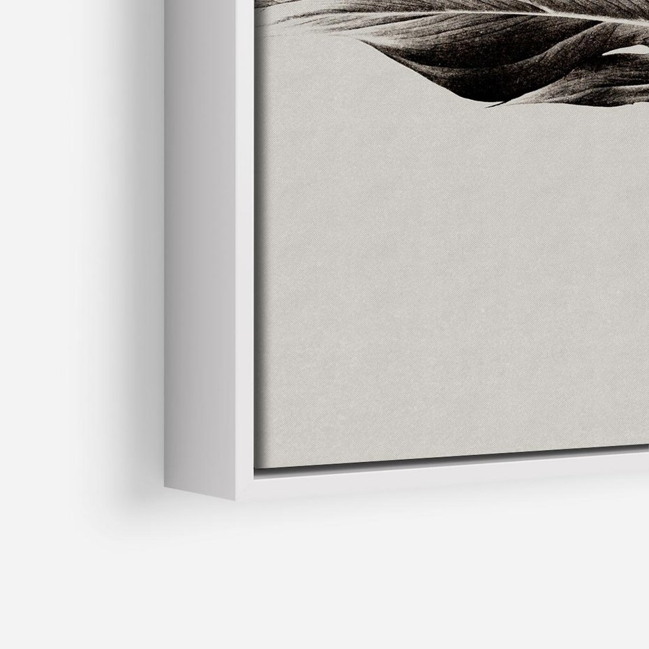Obraz w ramie 80x80 - Szepczący Liść - szkic, czarno biały - rama biała