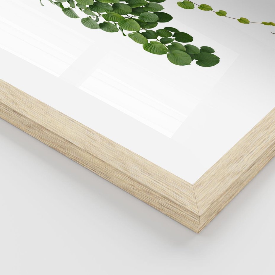 Plakat w ramie 30x40 - Świeżość Natury - liście, zielone - rama drewno