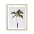 Plakat w ramie 40x50 - Wakacyjne Marzenia - palma na tle nieba - rama drewno