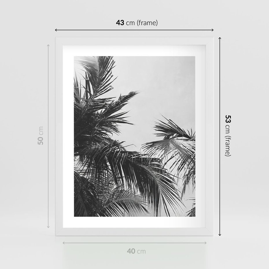 Plakat w ramie 40x50 - Palmy w Monochromii - palmy, tropikalne palmy - rama biała