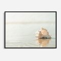 Obraz w ramie 100x70 - Spokój Plaży - fotografia, biała muszla na plaży - rama czarna