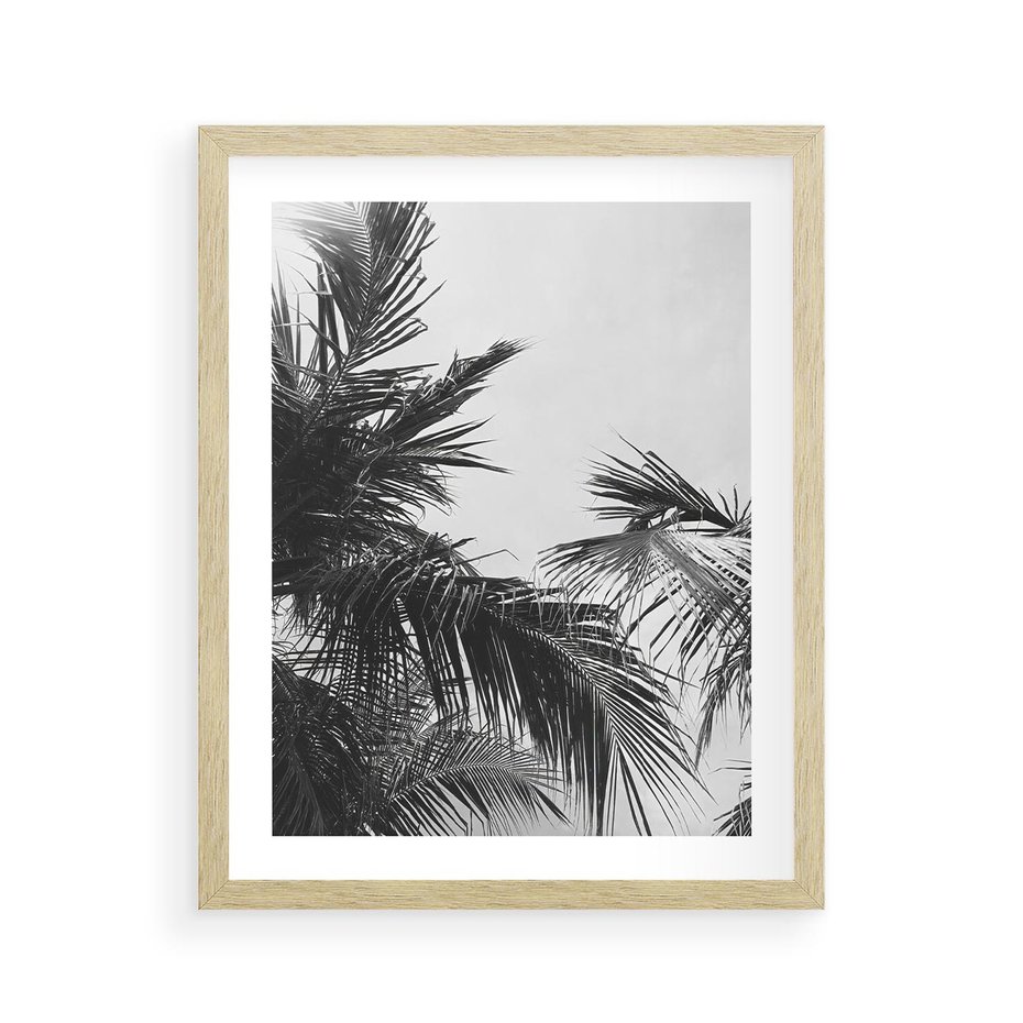 Plakat w ramie 40x50 - Palmy w Monochromii - palmy, tropikalne palmy - rama drewno