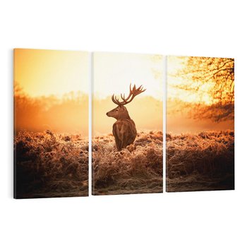 Obraz na płótnie 120x80 - Magia jesiennego słońca: Jeleń w promieniach - jeleń, jesień