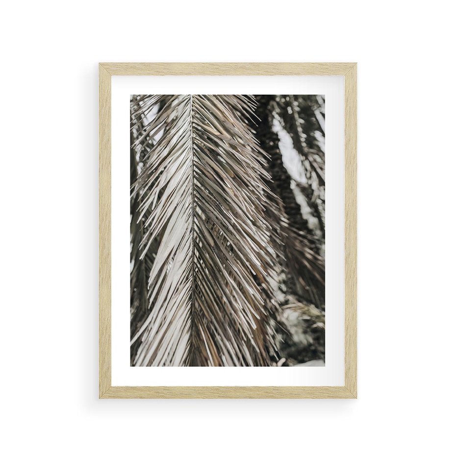 Plakat w ramie 30x40 - Egzotyczne Gałęzie - suche gałęzie, liście palmy - rama drewno