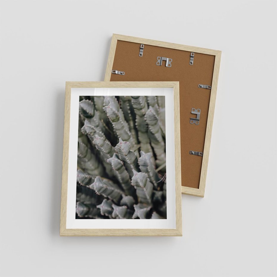 Plakat w ramie 30x40 - Boho kaktusy na pustyni - kaktusy, pustynia - rama drewno