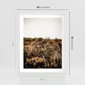Plakat w ramie 40x50 - Krajobraz W Naturze: Beże i Brązy - suche krzewy, natura - rama biała