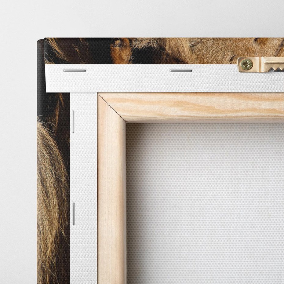 Obraz na płótnie 50x70 - Władca Dzikiej Przyrody - lew, król