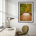 Plakat bez ramy 30x40 - Spacer Ścieżką w Las - ścieżka, spacer