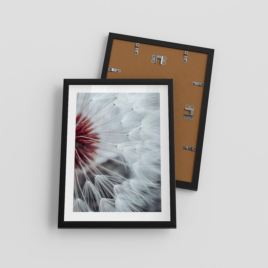 Plakat w ramie 30x40 - Makro świat dmuchawca - dmuchawiec, makro - rama czarna