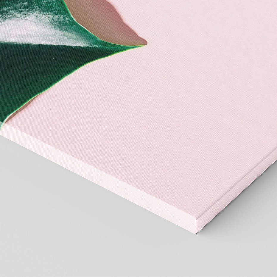 Obraz na płótnie 100x50 - Siła Natury - liście, monstera