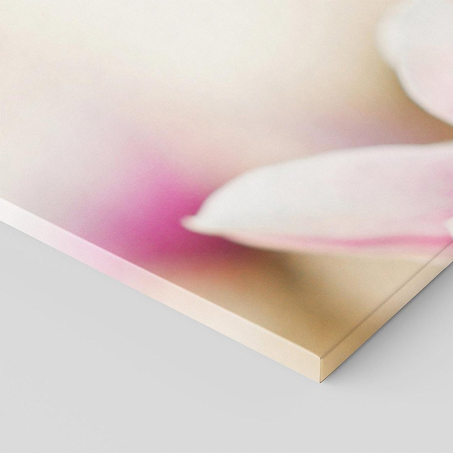 Obraz na płótnie 120x40 - Urok Magnolii - magnolie, kwiaty