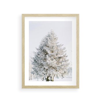 Plakat w ramie 30x40 - Zimowa Poezja w Ośnieżonym Drzewie - ośnieżone drzewo, zima - rama drewno
