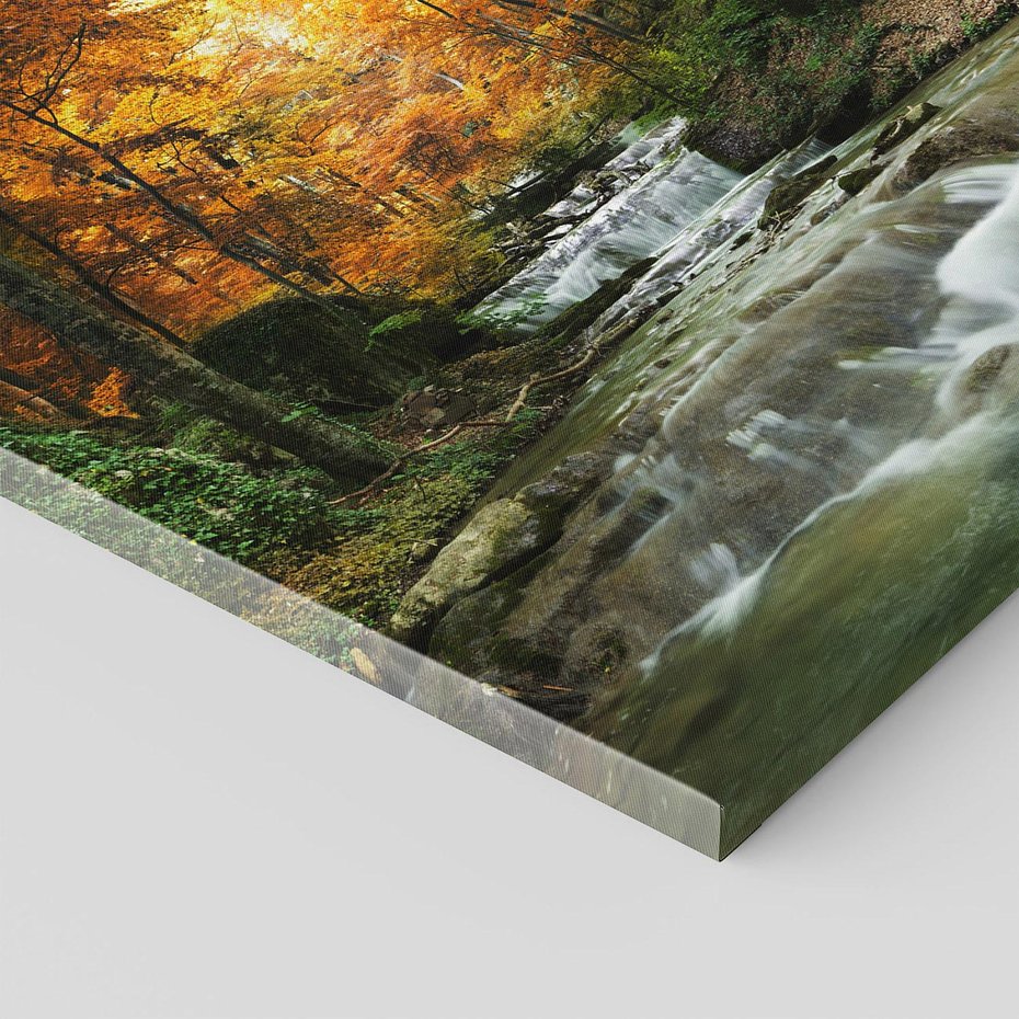 Obraz na płótnie 60x60 - Urok lasu: drzewa i strumyk w harmonii - las, drzewa