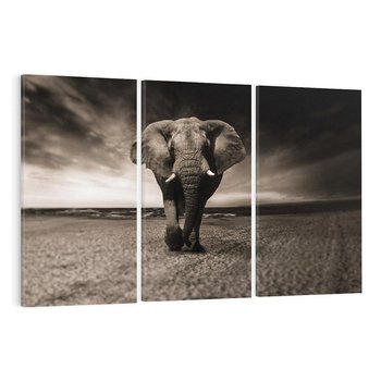 Obraz na płótnie 120x80 - Słoń - Wielki Przyjaciel Morza - słoń, plaża