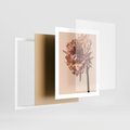 Plakat w ramie 40x50 - Delikatne piękno - suche, kwiaty - rama biała