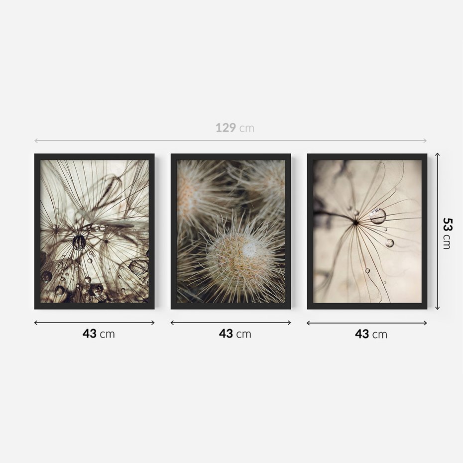 Zestaw obrazy w ramie 40x50 galeria - Dmuchawce, krople, wody, makro - rama czarna