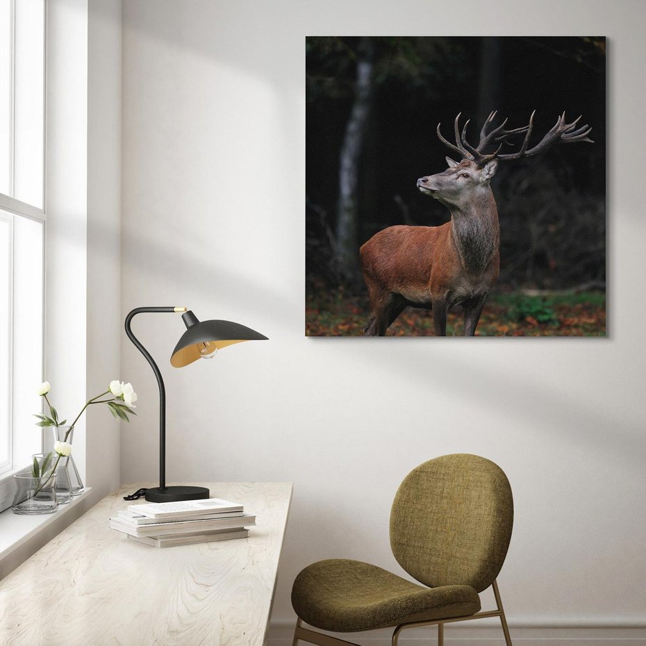 Obraz na płótnie 50x50 - Spotkanie z naturą - jeleń, las