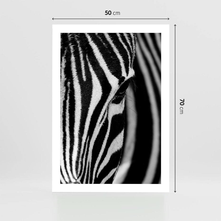 Plakat bez ramy 50x70 - Pasy Zebr - zebra, paski