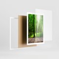 Plakat w ramie 50x70 - Spacer po urokliwej dróżce w lesie - las, dróżka - rama biała