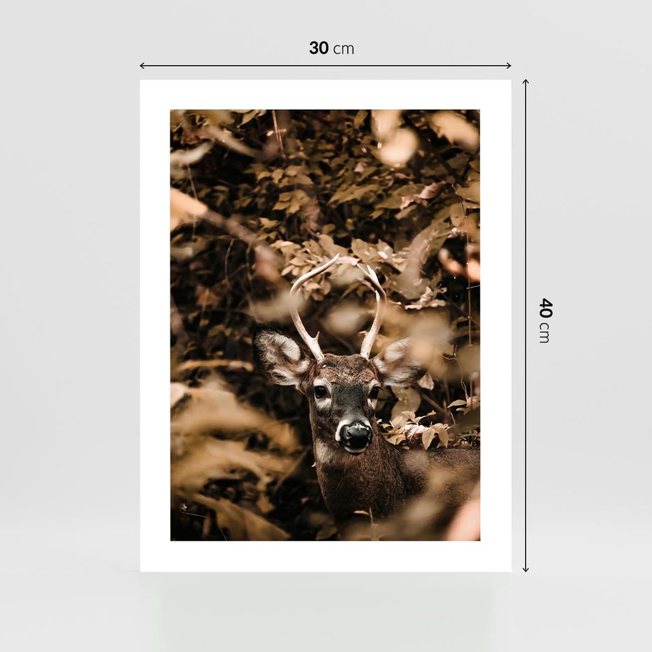 Plakat bez ramy 30x40 - Jesienny Jeleń w Lesie - jeleń, w lesie