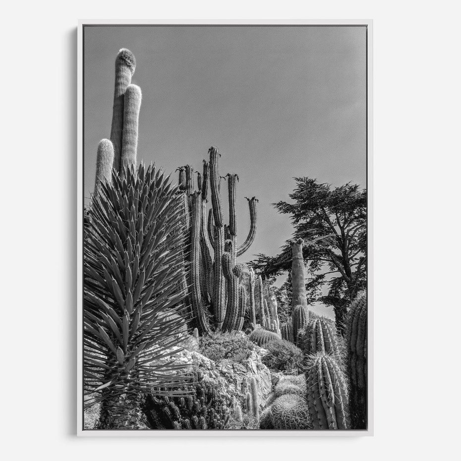 Obraz w ramie 50x70 - Pustynny Klimat - czarno białe zdjecie, pustynia - rama biała