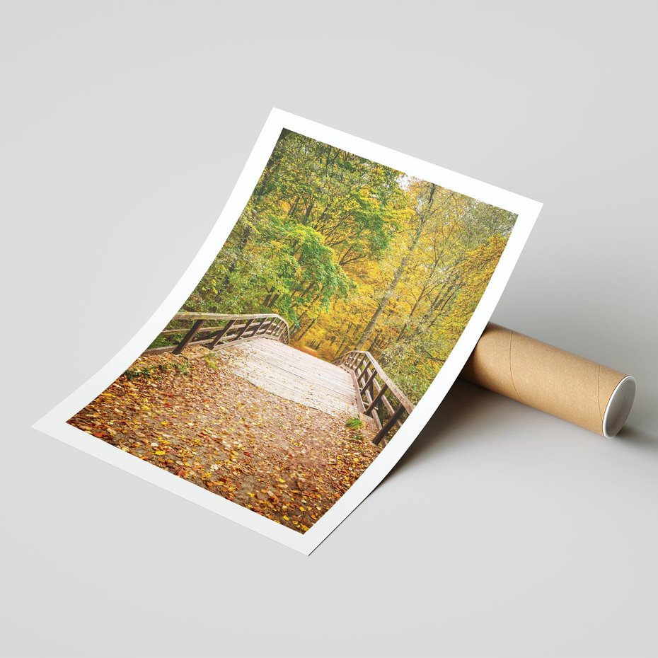 Plakat bez ramy 50x70 - Spacer Ścieżką w Las - ścieżka, spacer