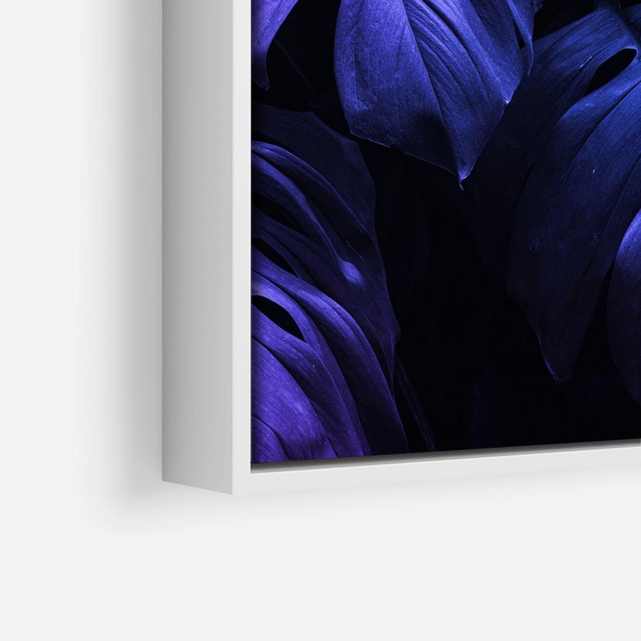 Obraz w ramie 50x50 - Mroczna Magia Dżungli - mroczna grafika, fioletowe liście monstery na czarnym tle - rama biała