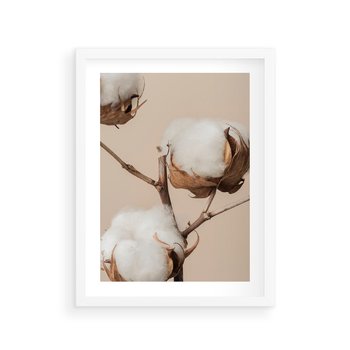Plakat w ramie 50x70 - Bawełniana melancholia - bawełna, suche - rama biała