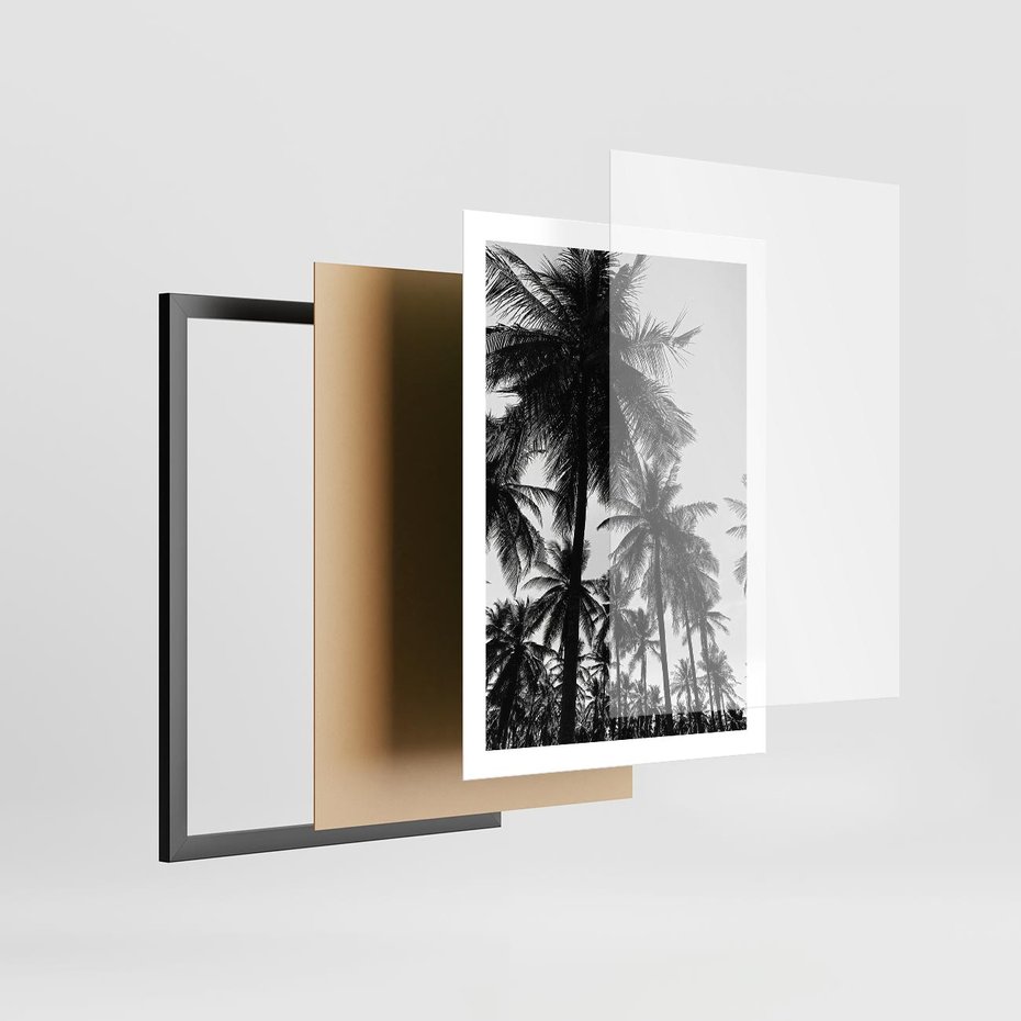 Plakat w ramie 50x70 - Mono Tropiki - palmy, drzewa palmowe - rama czarna