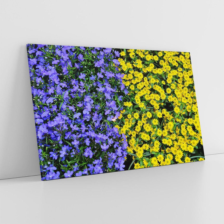 Obraz na płótnie 70x50 - Tulipanowe Elegancja - kwiat, kwiaty