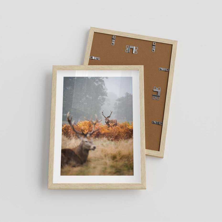 Plakat w ramie 30x40 - Malownicza Harmonia - jelenie, jesień - rama drewno