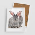 Plakat w ramie 50x70 - Uroczy królik wśród natury - królik, zając - rama biała