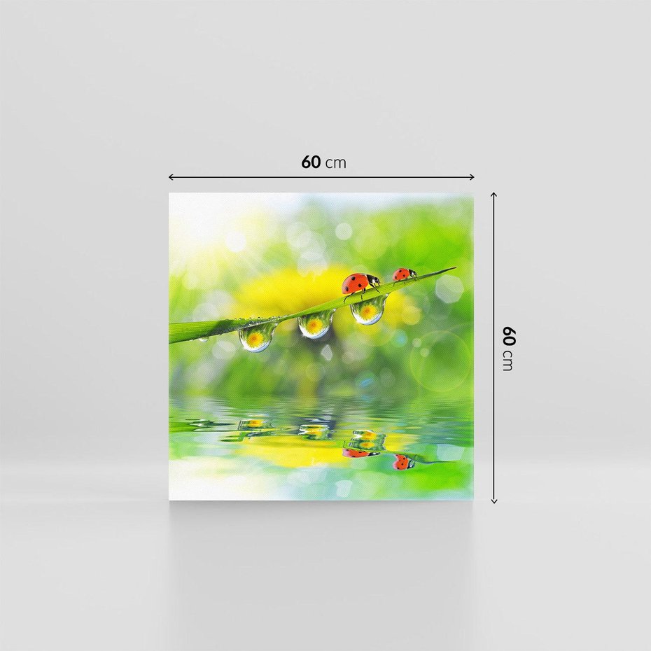 Obraz na płótnie 60x60 - Deszczowa Biedronka - biedronka, deszcz