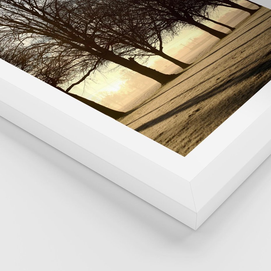 Plakat w ramie 30x40 - Siła natury - drzewa, pole - rama biała