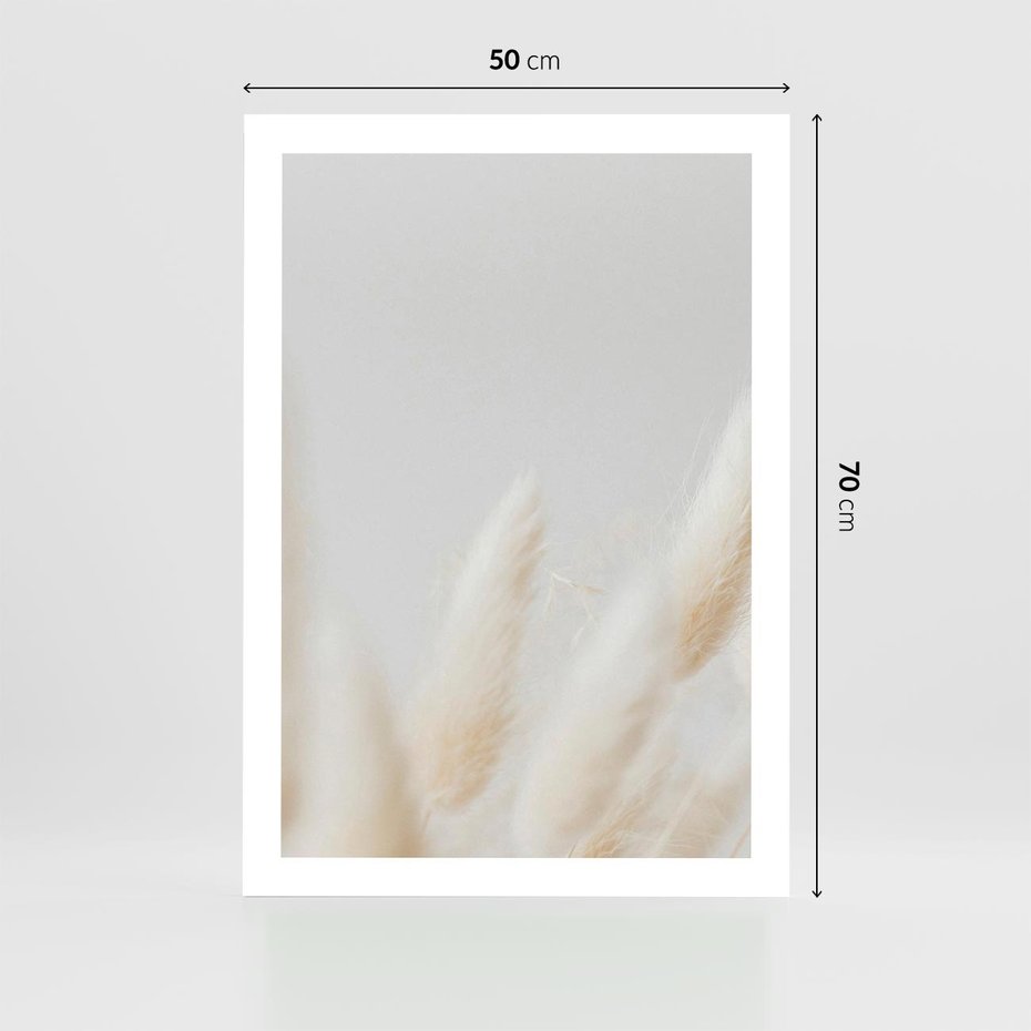 Plakat bez ramy 50x70 - Biały Spokój - białe trawy, suche trawy pampas
