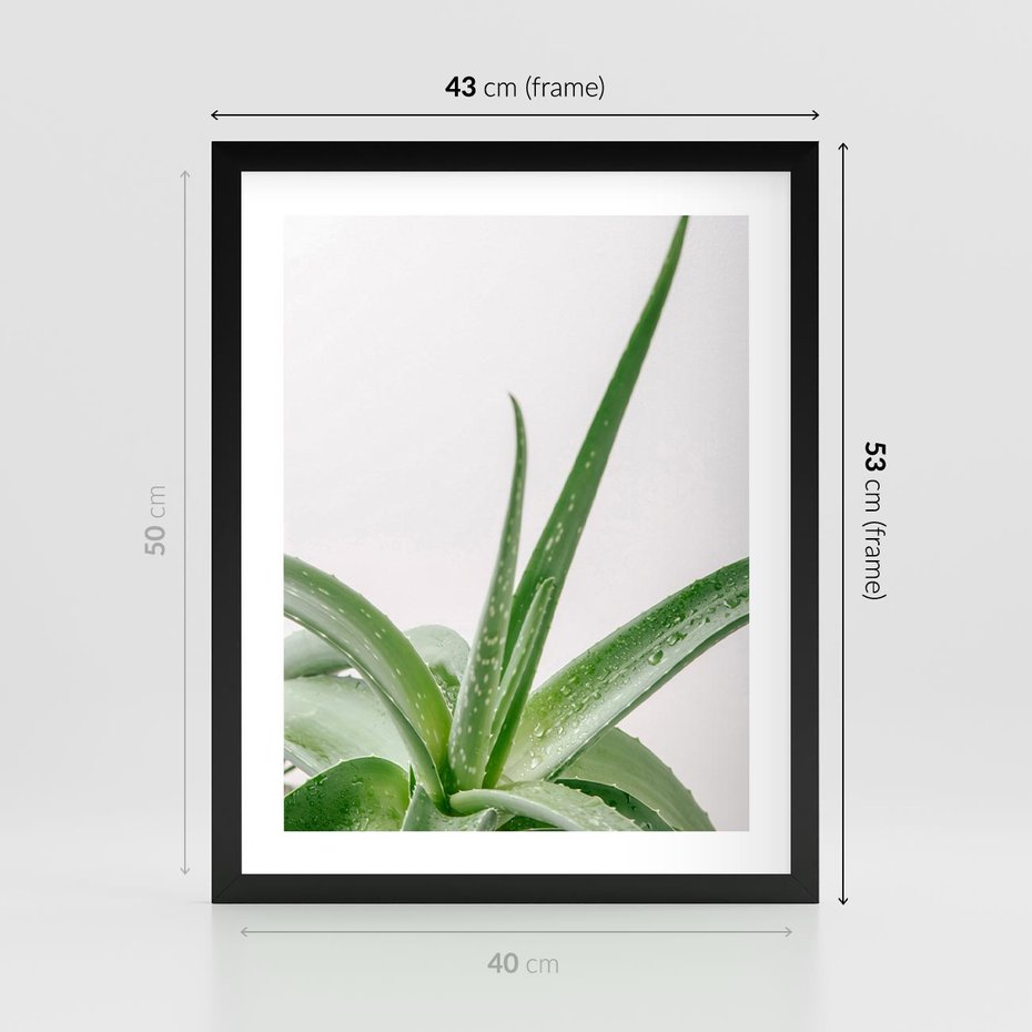 Plakat w ramie 40x50 - Zielone Piękno - aloes, liście - rama czarna