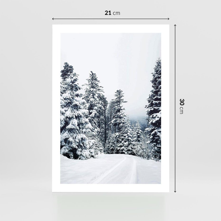 Plakat bez ramy 21x30 - Zimowy Las Pod Kołdrą - las, zima