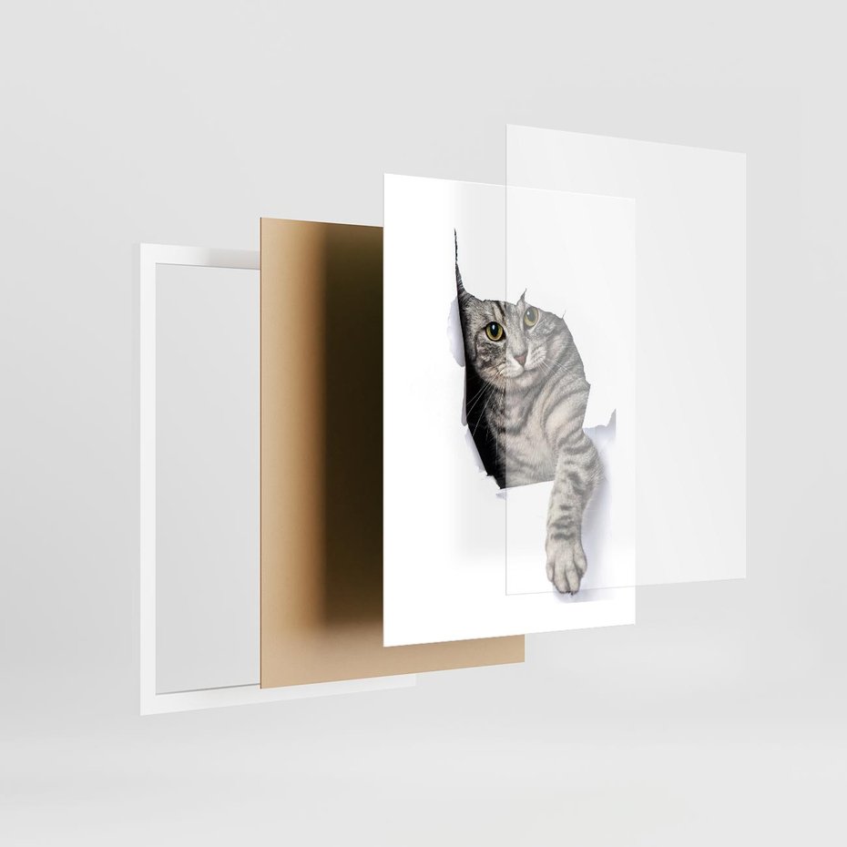 Plakat w ramie 30x40 - Tajemniczy kot i jego świat - kot, dziura - rama biała