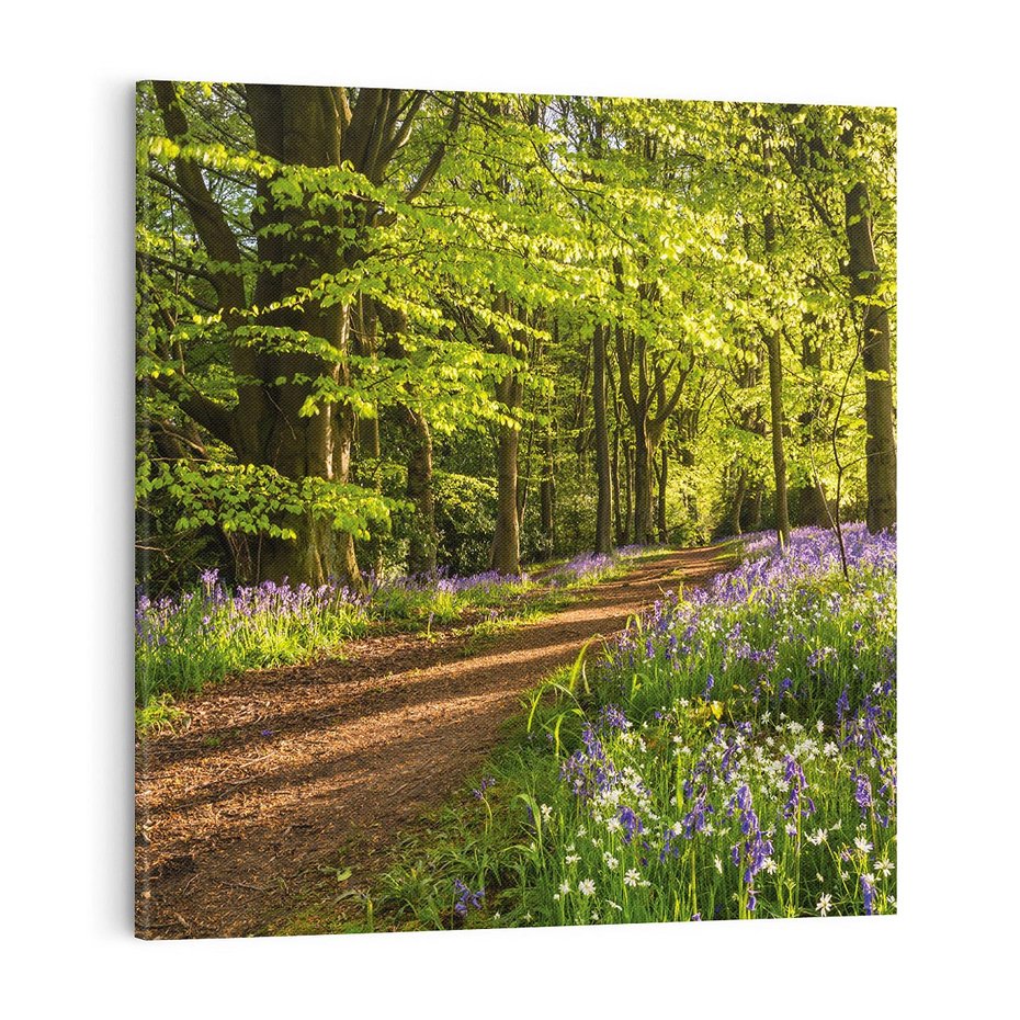 Obraz na płótnie 70x70 - Magia lasu: Drzewa w tajemniczej otoczce - las, drzewa