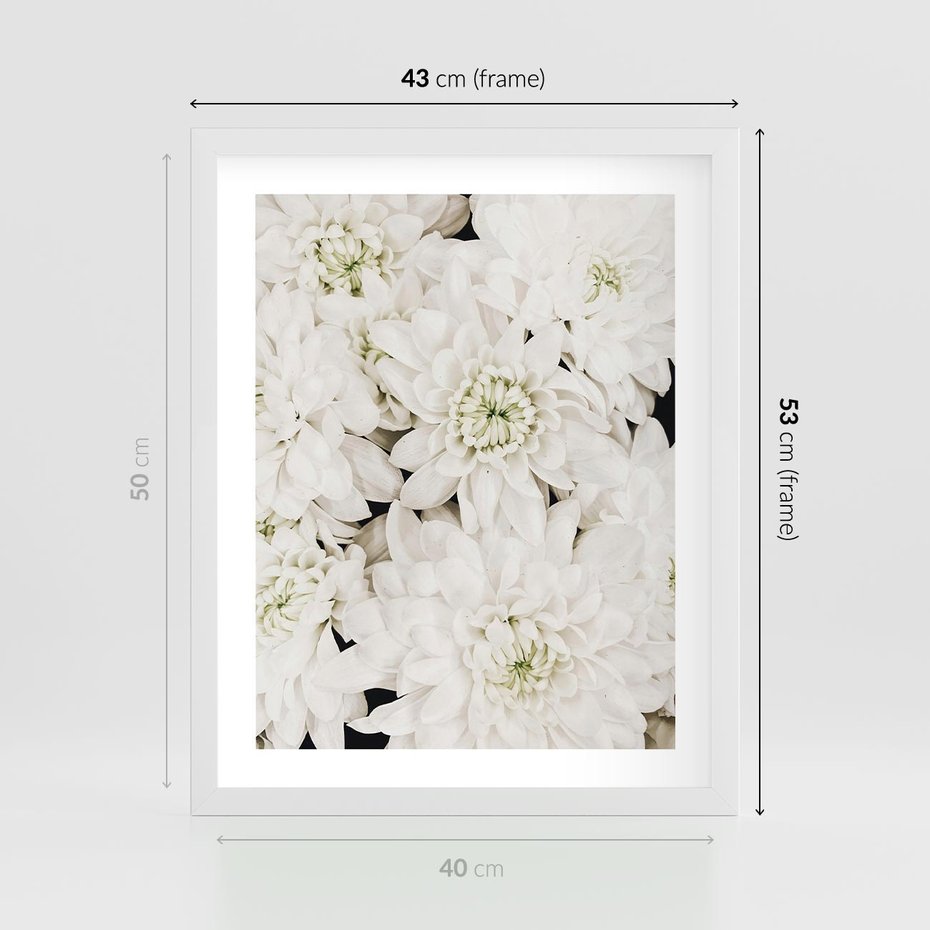 Plakat w ramie 40x50 - Białe Kwiaty: Płatki Delikatności - białe kwiaty, zbliżenie - rama biała