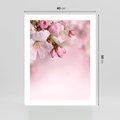 Plakat bez ramy 40x50 - Kwitnąca wiśnia: delikatność natury - kwitnąca, wiśnia