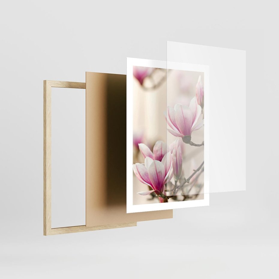 Plakat w ramie 50x70 - Urok Magnolii - magnolie, kwiaty - rama drewno