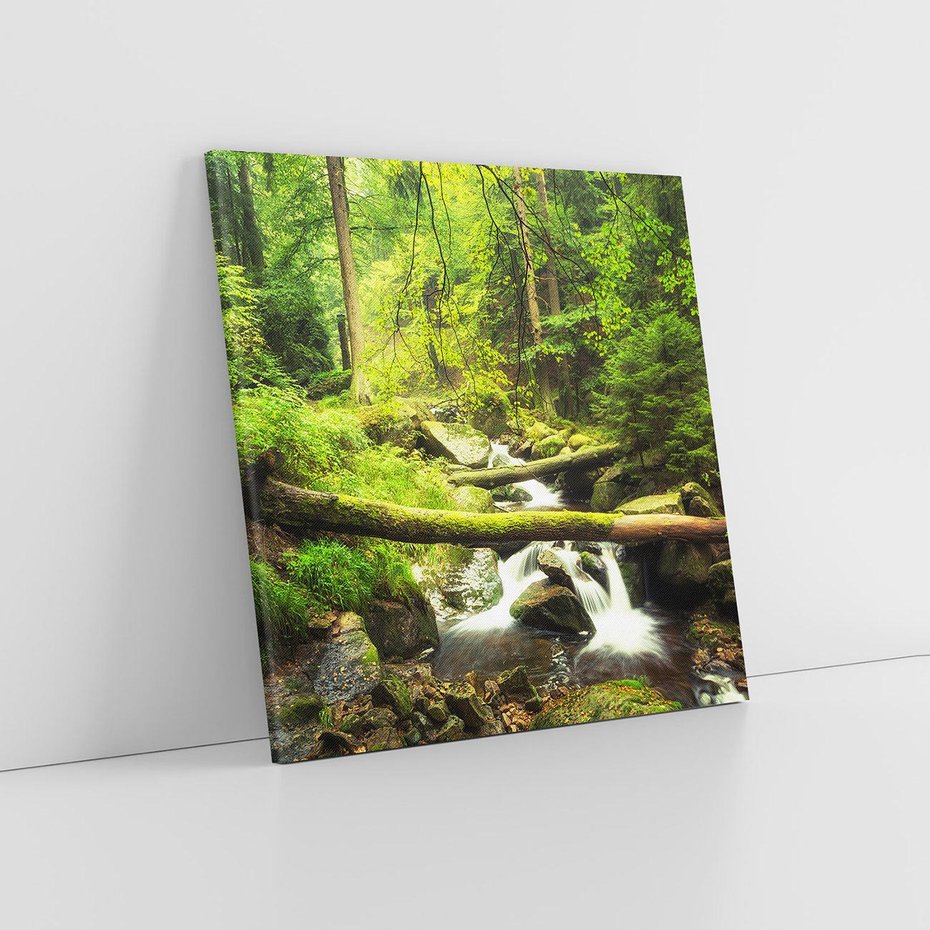 Obraz na płótnie 50x50 - Magiczny Strumień w Lesie - strumień, las