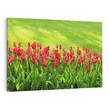 Obraz na płótnie 120x80 - Tulipanowy raj - kwiat, kwiaty