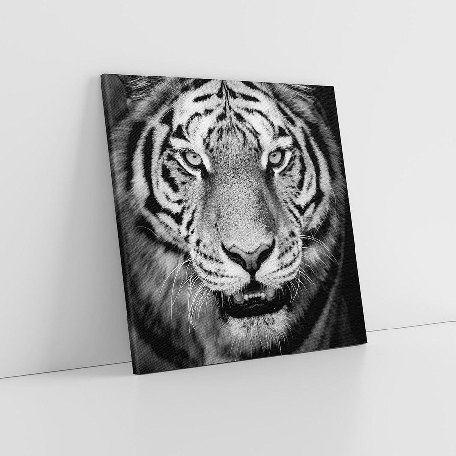 Obraz na płótnie 40x40 - Tygrys Czarno-Biały: Siła i Delikatność - tygrys, czarno
