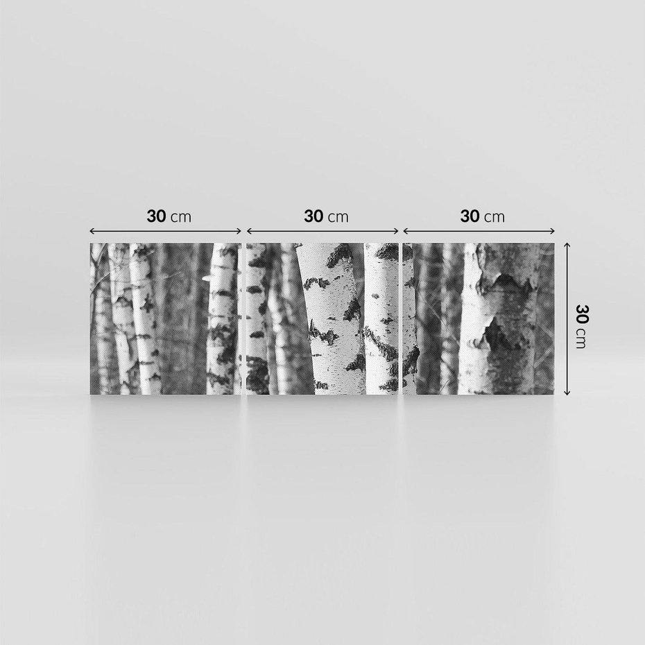 Obraz na płótnie 90x30 - Kontrast Monochromatyczny - brzozy, czarno