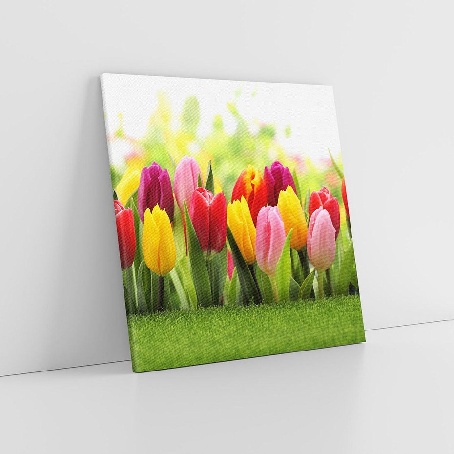 Obraz na płótnie 60x60 - delikatność kwiatowego świata - tulipany, kwiaty