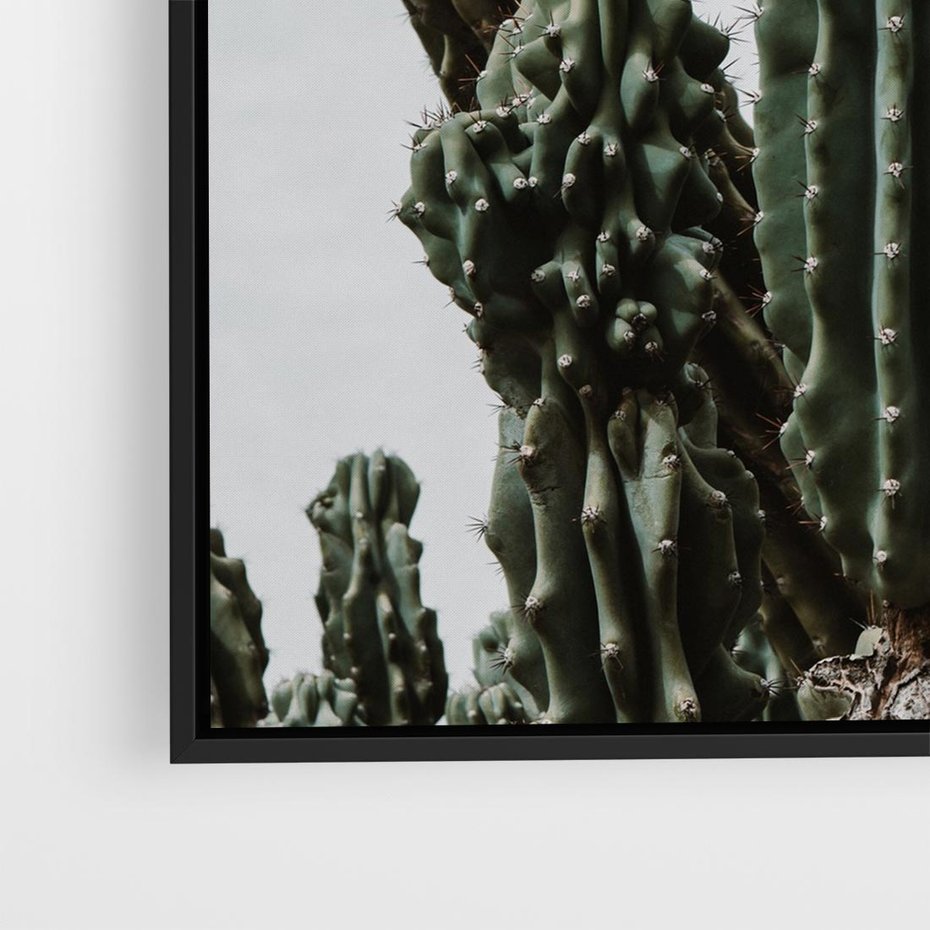 Obraz w ramie 50x50 - Boho oaza wśród kaktusów - kaktusy, pustynia - rama czarna