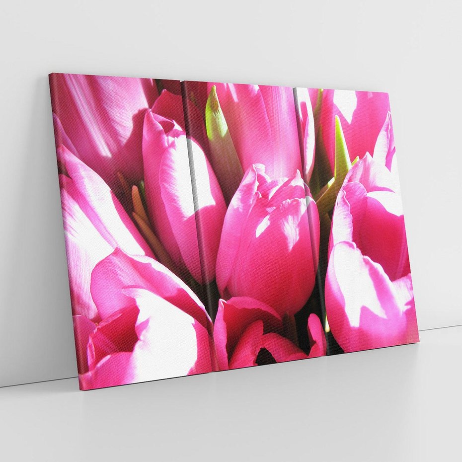 Obraz na płótnie 120x80 - Tulipany w pejzażu - tulipany, kwiaty